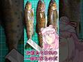 【 釣り 】解禁された渓流で、キラキラの魚を釣る！ 【 VTuber 】 #shorts