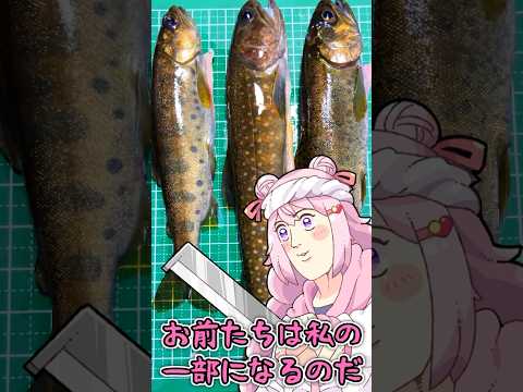【 釣り 】解禁された渓流で、キラキラの魚を釣る！ 【 VTuber 】 #shorts