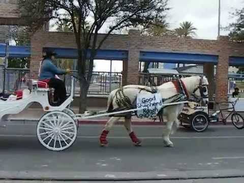 Wedding Carriage Good Shepherd Carriage lines