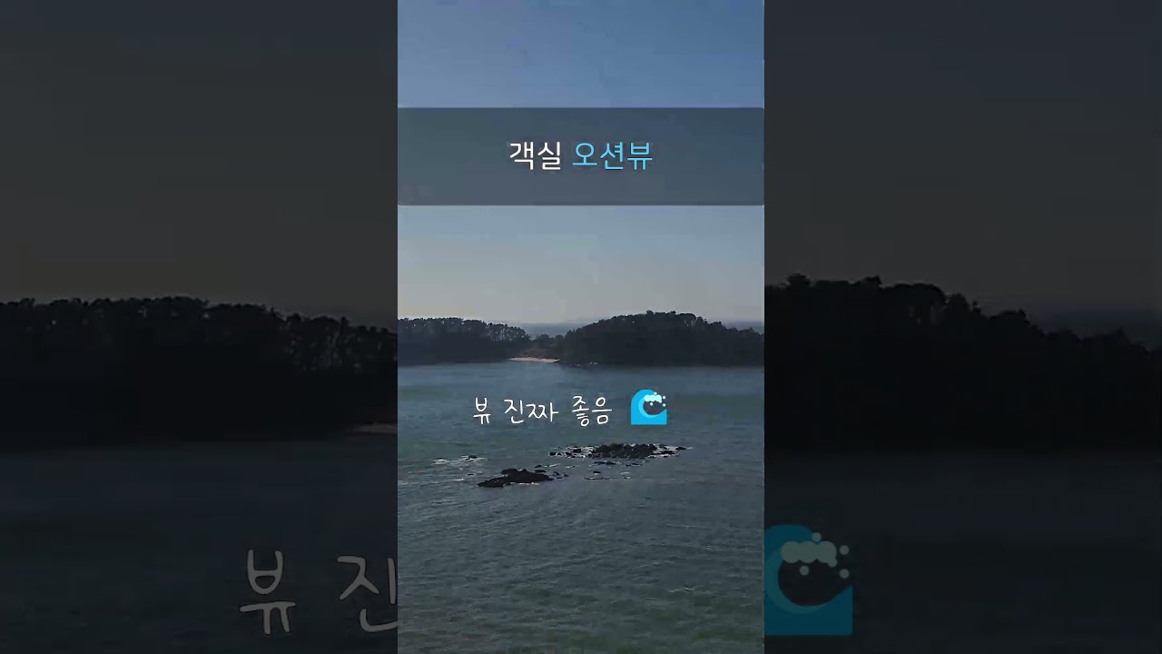 무창포 비체팰리스 숙소 리뷰 🌊 36평 객실 가족숙소 추천 #shorts