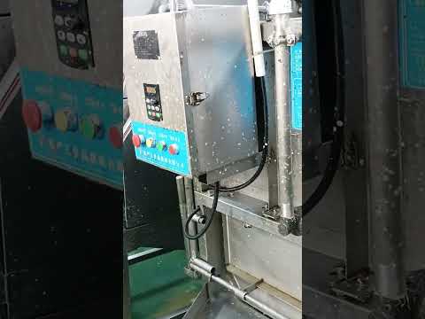 High Capacity Electric Automatic Fish Scaling Descaler ...