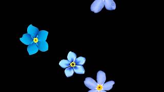 4K & HD Motion Background Video Effects | Flowers | Plant | Nature | Natural