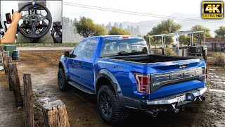 Ford Raptor F-150 | OFFROAD | Forza Horizon 5 | g29 gameplay