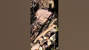 209* ماتيسر من سورة الحج بصوت القارئ #محمود صابر الفيومي#