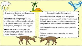 5 Minute Science: Resource Changes Affect Individuals and Populations- NGSS MS-LS2-1 and MS-LS2-4