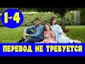 ПЕРЕВОД НЕ ТРЕБУЕТСЯ 1 - 4 СЕРИЯ (премьера, 2020) ВСЕ СЕРИИ Анонс, Дата выхода