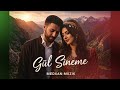 Gül Sineme Kurdish Song Cover Version 