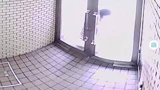 20180730 114710 扉締める