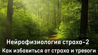 Нейрофизиология страха. Часть 2. Практики работы со страхами.