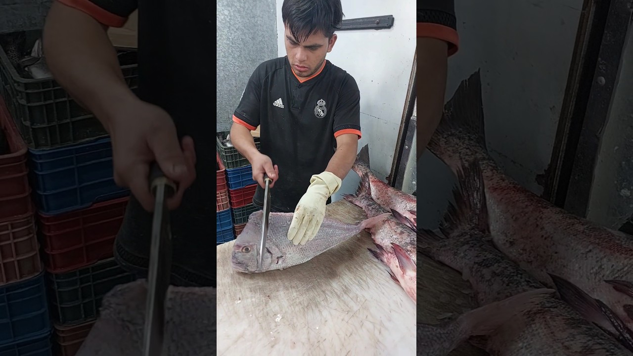 Quick Porgy Fish Cut 🔪