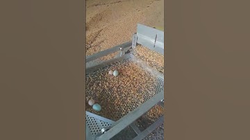 Corn vibrating screen, good helper for screening clean grain, double-layer screen