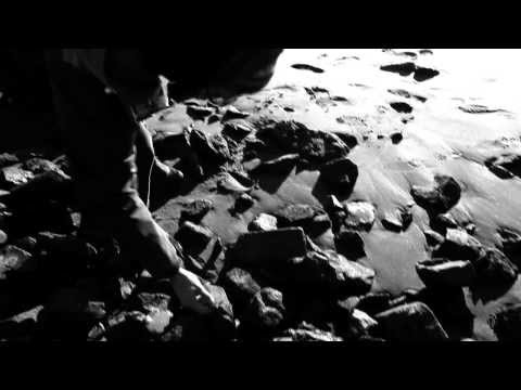 DLTLLY // MOOP MAMA // Wo der Pfeffer Wächst (OFFICIAL VIDEO)