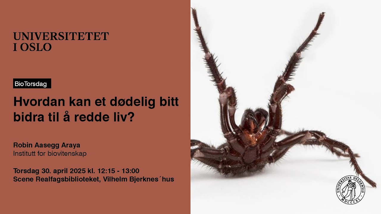BioTorsdag: Hvordan kan et dødelig bitt bidra til å redde liv?