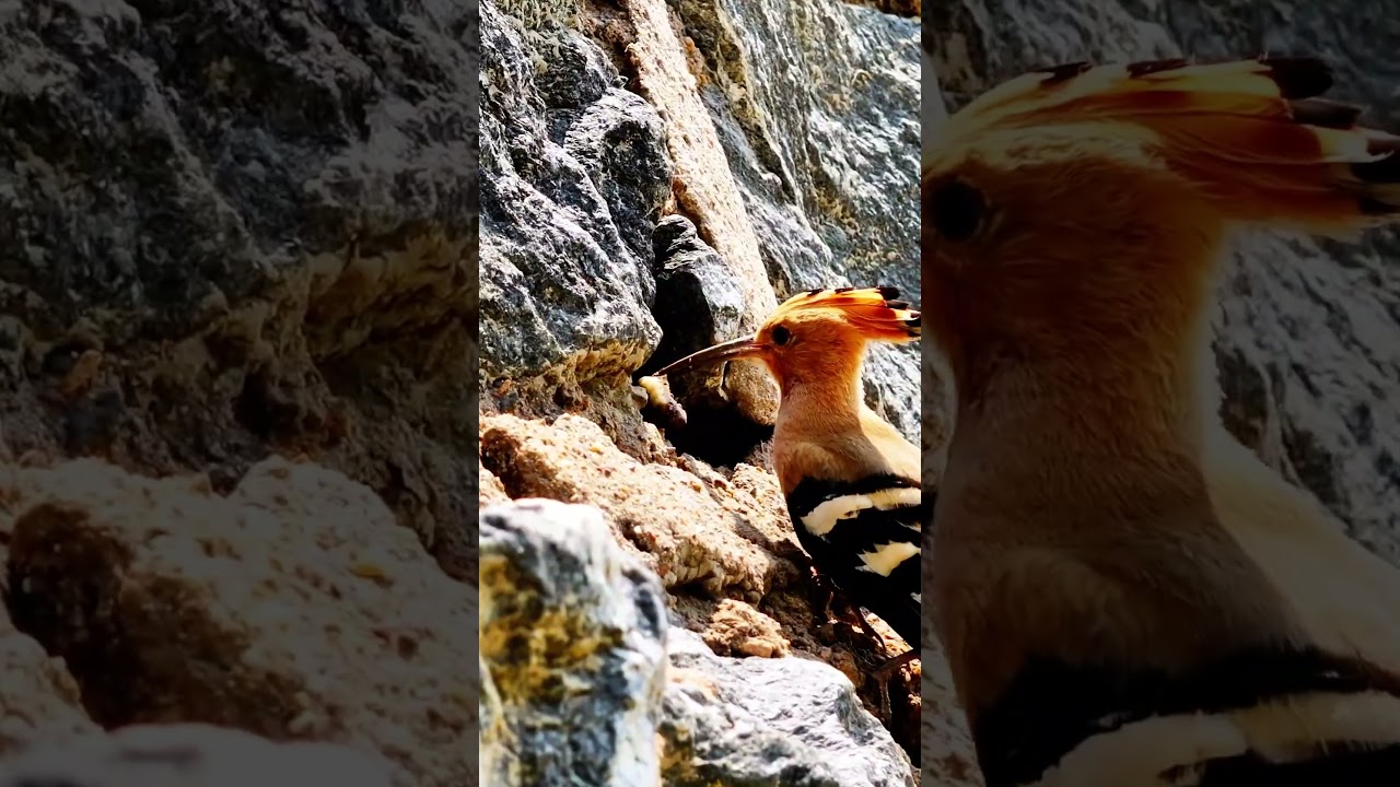 Add a timeless touch to your day at Daqing Mountain, Hohhot.