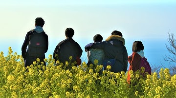 『アスタースクールデイズ』予告編　PFFアワード2020入選作品