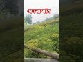 उड़ जा काले कौवा तेरे मुंह विच खंडपाव #sortvedios #villagelife #farming #villagevlog #funnyvillageli