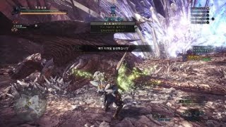 Monster Hunter: 역전 크샬다오라 활 0분침