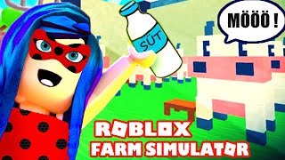 ROBLOX FARM SiMULATOR 🐞 LANETLİ ViP SERVER 🐞 MUCİZE UĞUR BÖCEĞİ ile ÇİFTLİK OYUNU 🐞 Türkçe