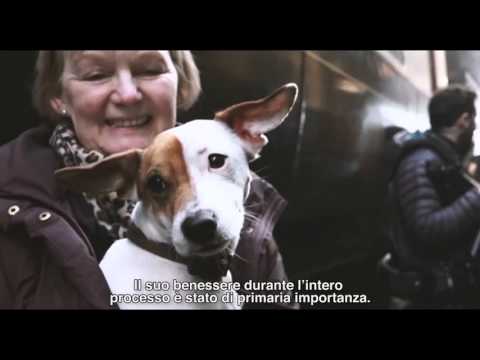 THE DANISH GIRL di Tom Hooper - Featurette "Pixie" (sottotitoli in italiano)