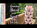 Lets grow basil  best sale of the season