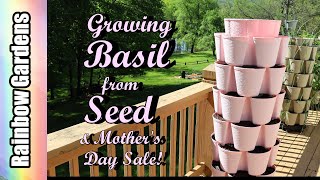 Let's Grow Basil!! + BEST Sale of the Season!