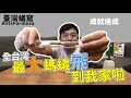 全臺灣最大螞蟻飛到我家！｜臺北巨山蟻Gotcha｜【蟻窟日常】