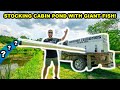 STOCKING TRUCK Delivers GIANT FISH for My BACKYARD CABIN Pond!!!!