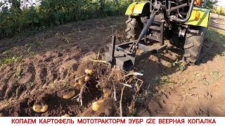 видео: САМАЯ ПРОСТАЯ КОПАЛКА В РАБОТЕ, КОПАЕМ КАРТОФЕЛЬ МОТОТРАКТОРМ ЗУБР /THE EASIEST POTATO DIGGER TO USE картинка: САМАЯ ПРОСТАЯ КОПАЛКА В РАБОТЕ, КОПАЕМ КАРТОФЕЛЬ МОТОТРАКТОРМ ЗУБР /THE EASIEST POTATO DIGGER TO USE