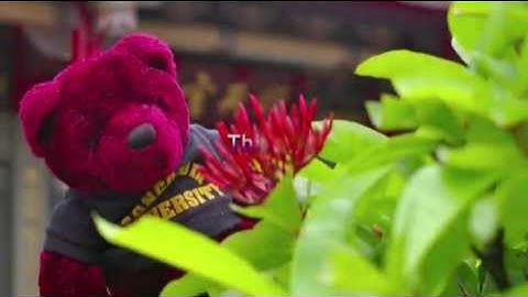 Chapter 31 - (31 X 15 sec) - LIVE AGAIN: You Are Right Here - July 1st, 2009