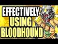 HOW TO EFFECTIVELY USE BLOODHOUND TO GET HIGH KILL GAMES (APEX LEGENDS WALKTHROUGH)