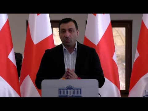 „ოცნება“ და ღარიბაშვილი დანაშაულებრივ ქმედებას ახორციელებენ უკრაინის მიმრთ- ბეჟშვილი