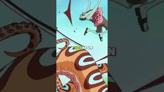 One Piece Una curiosidad por cada capítulo del manga #84