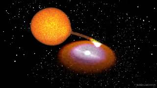 LP 40-365: The strangest white dwarf ever seen