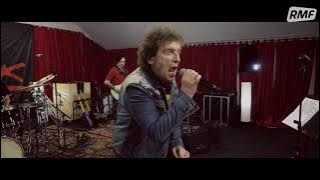 Lady Pank - Drzewa - koncert z okazji 40-tych urodzin zespołu!