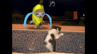 Happy Cat Tiktok Compilation