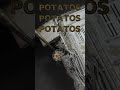 Potatos in 1/35 scale