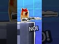 When A Noob Wins...