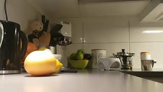 Daiwa Saltiga 5000H Oljud Och Glapp