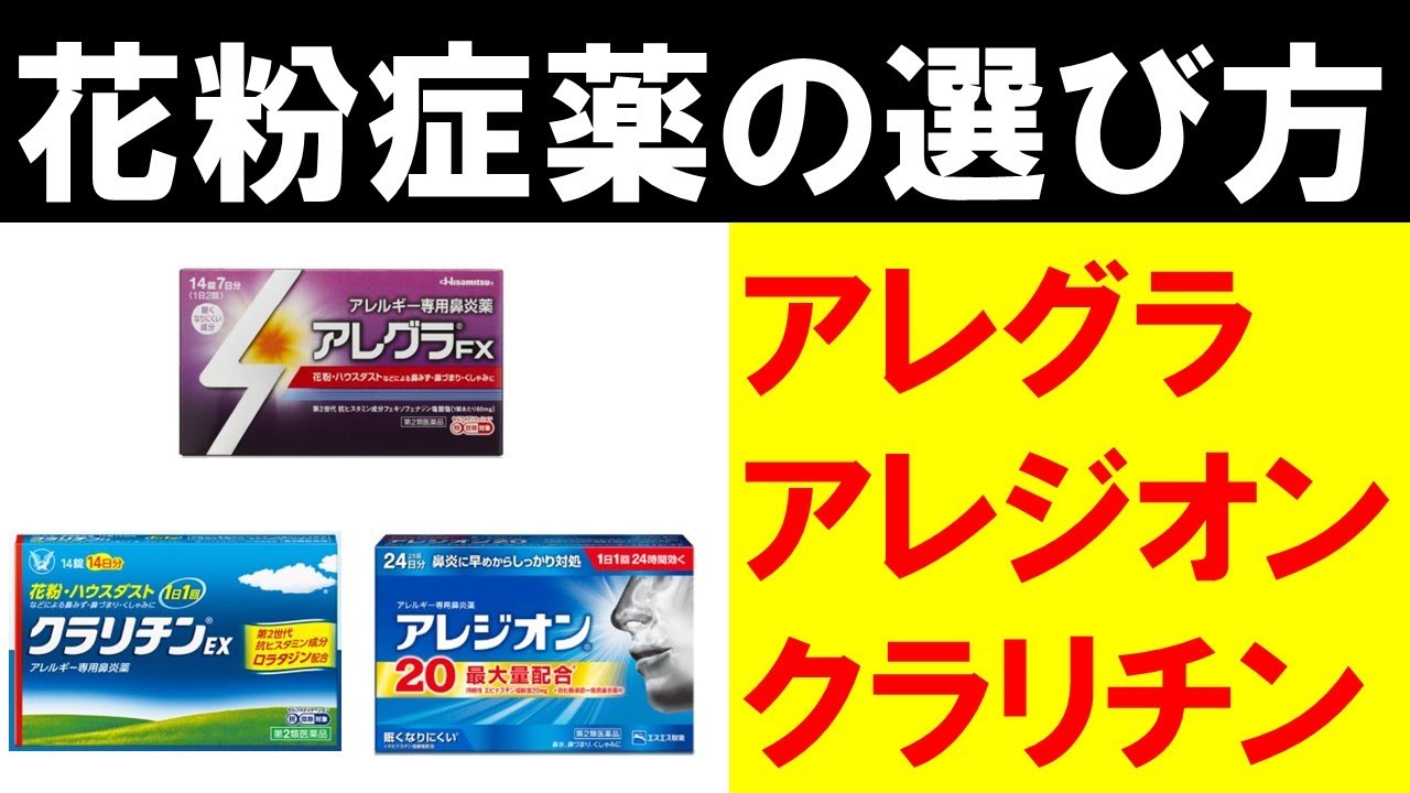 アレグラ D リーフレット