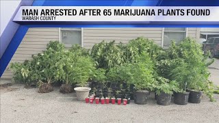 Mt. Carmel man arrested for possession of 65 cannabis plants