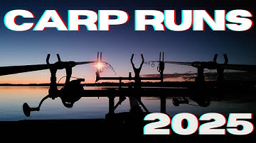 Carp Run Compilation 2025