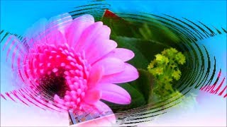 Очень красивые музыкальные открытки. Бесплатные уроки музыкальные видео открытки Очень красивые музыкальные открытки. Бесплатные уроки музыкальные видео открытки