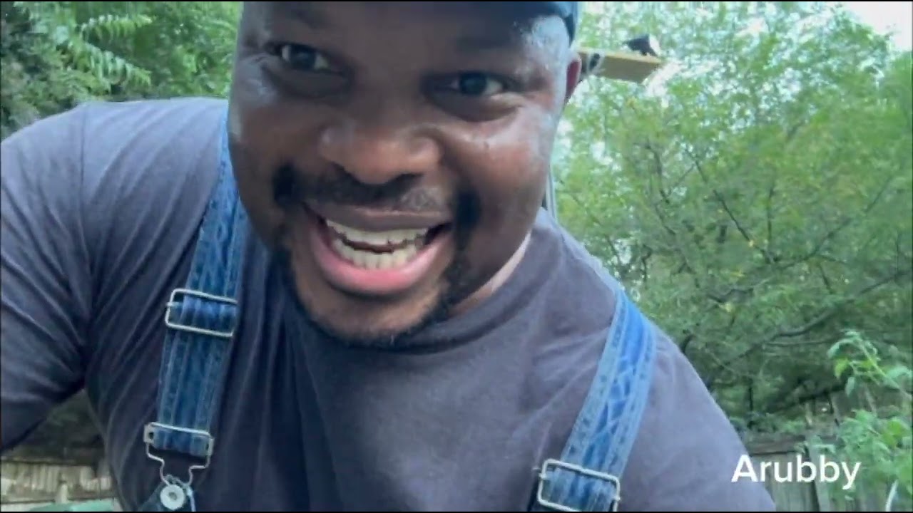 Backyard kitchen garden after terrible rainstorm!