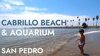 Cabrillo Beach & Cabrillo Marine Aquarium in San Pedro, Los Angeles, California with Kids