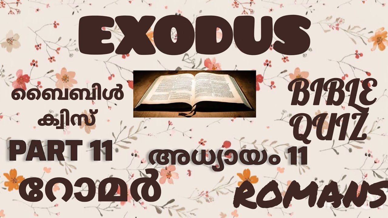 റോമർ 11// ROMANS 11 // ബൈബിൾ ക്വിസ് // BIBLE QUIZ // ഭാഗം 11 // PART 11