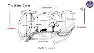 Grade 11 Biology, Chap 12, Environmental Biology, Lesson 3
