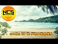 🔥Top 20 NoCopyrightSounds ♫ Best EDM Collection For Gaming ♫ Best NCS Gaming Music Mix 2020