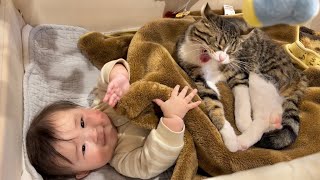 猫の思いやりに、飼い主もびっくり【仲が良すぎる赤ちゃんと猫】