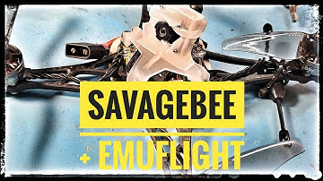Savagebee+Emuflight