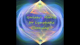 Gariaev's  Matrix for Lymphatic Cleansing!!!  Lymphatic System Restoration!!!